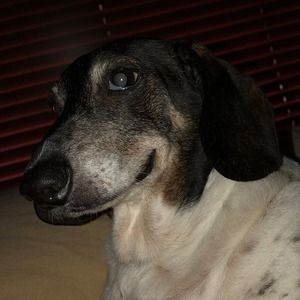 Meet your Posher, William